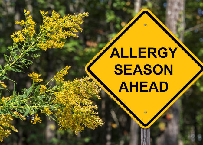 Peak hay fever season in south-east Australia is around October to November.