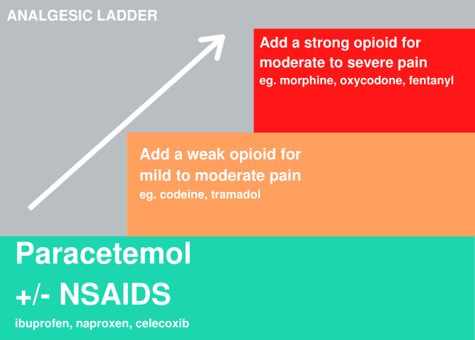 analgesic ladder